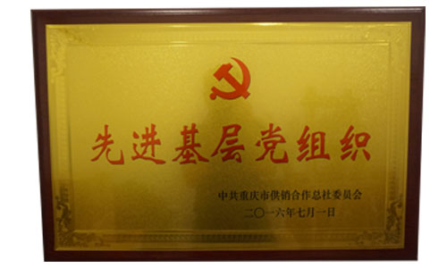 �Ƚ��²㵳��֯